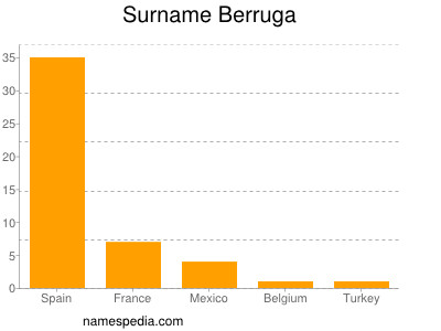 Surname Berruga