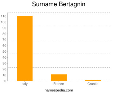 Surname Bertagnin