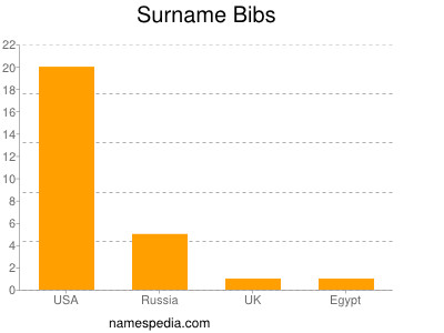 Surname Bibs