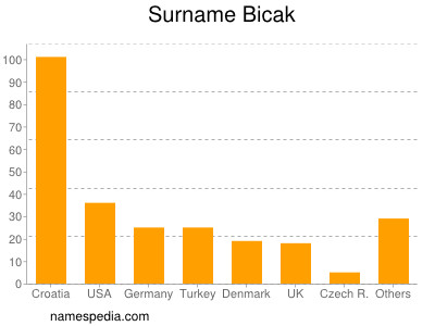 Surname Bicak