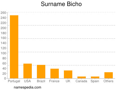 Surname Bicho