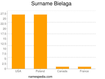 Surname Bielaga