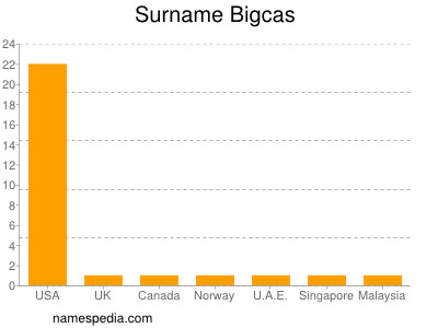 Surname Bigcas