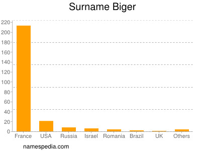 Surname Biger