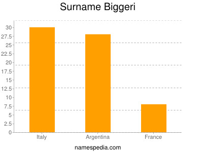 Surname Biggeri