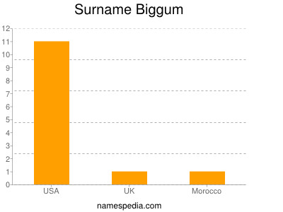 Surname Biggum