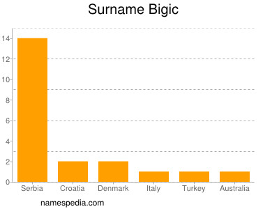Surname Bigic