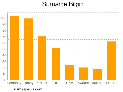 Surname Bilgic