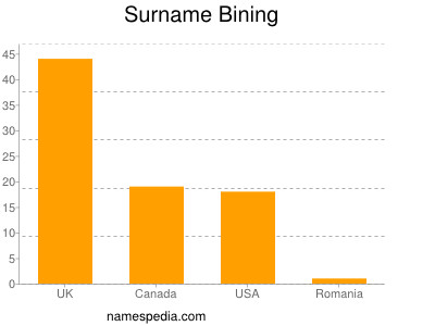 Surname Bining