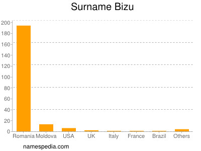 Surname Bizu