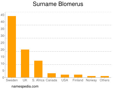 Surname Blomerus