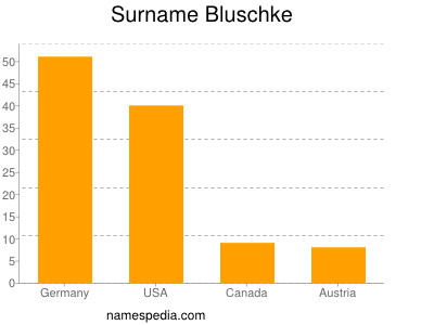 Surname Bluschke