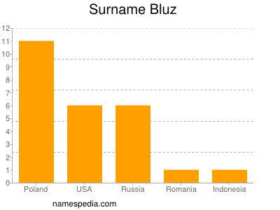 Surname Bluz