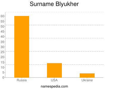 Surname Blyukher