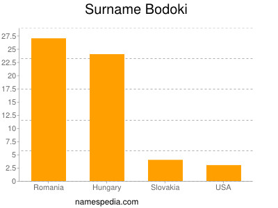 Surname Bodoki