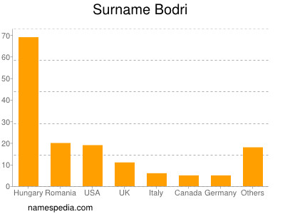 Surname Bodri