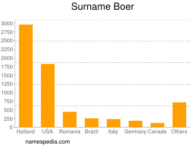 Surname Boer