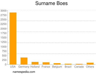 Surname Boes