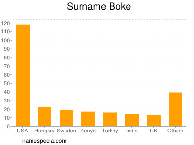 Surname Boke