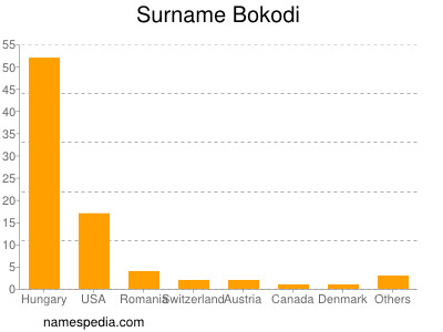Surname Bokodi