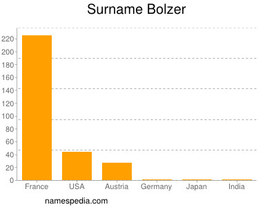 Surname Bolzer