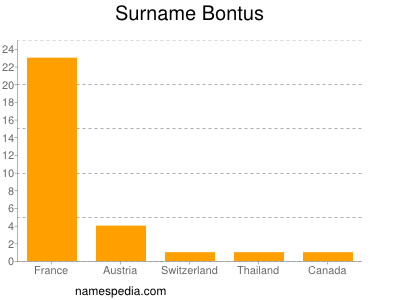 Surname Bontus