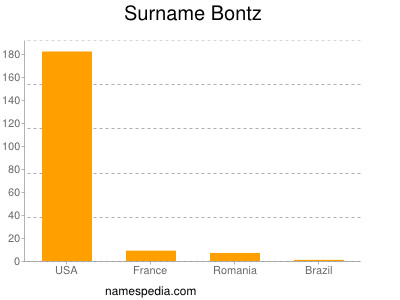 Surname Bontz
