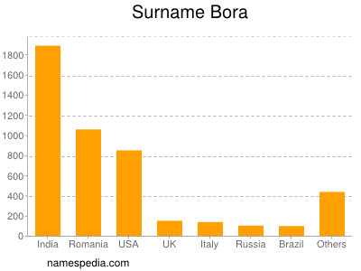 Surname Bora