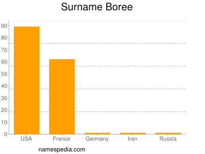 Surname Boree