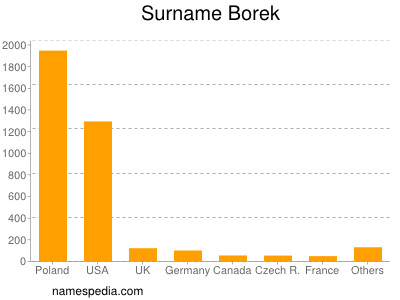 Surname Borek