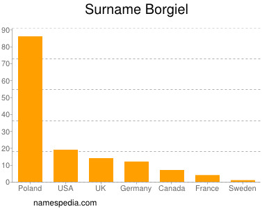 Surname Borgiel