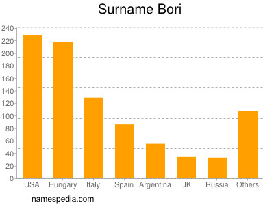 Surname Bori