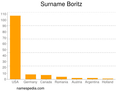 Surname Boritz