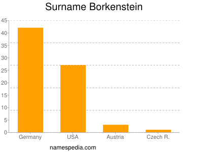 Surname Borkenstein