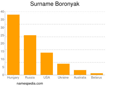 Surname Boronyak