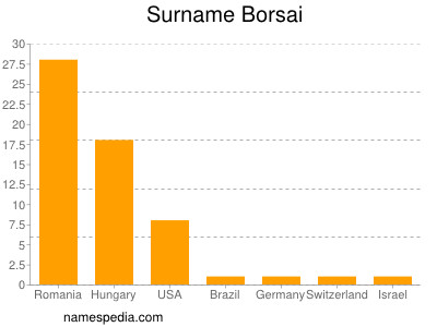 Surname Borsai