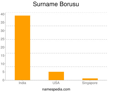 Surname Borusu