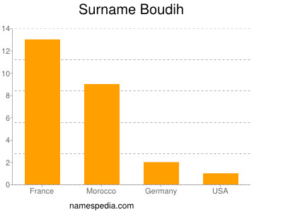 Surname Boudih