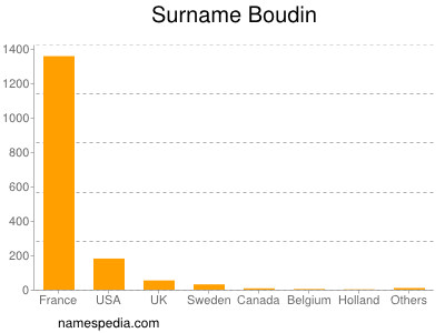 Surname Boudin
