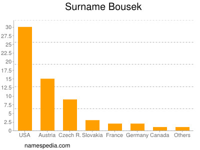 Surname Bousek