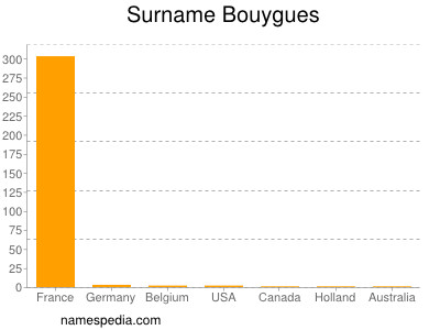 Surname Bouygues