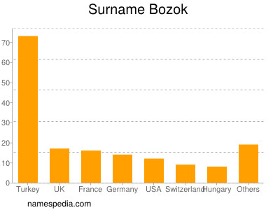 Surname Bozok