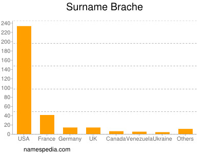 Surname Brache