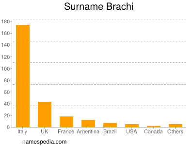 Surname Brachi