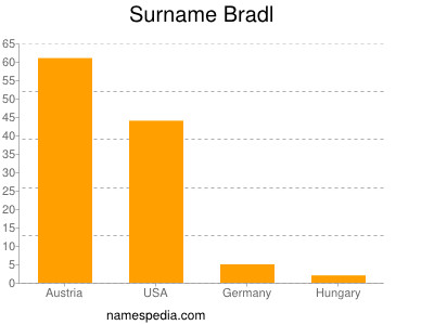 Surname Bradl