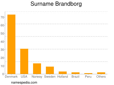 Surname Brandborg