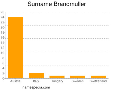 Surname Brandmuller