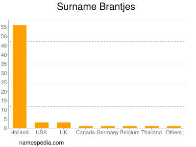 Surname Brantjes