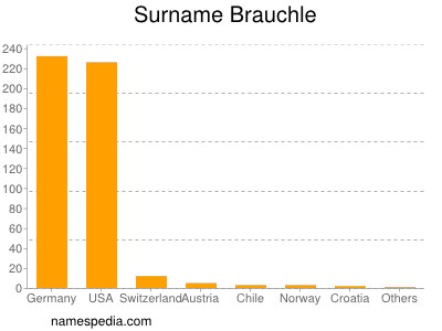 Surname Brauchle