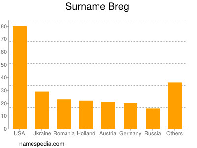 Surname Breg